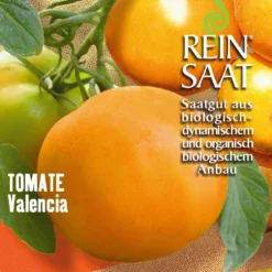 Fleischtomate Valencia | BIO Fleischtomatensamen Von Reinsaat
