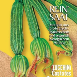Zucchini Costates Romanesco | BIO Zucchinisamen Von Reinsaat