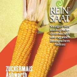 Zuckermais Ashworth | BIO Maissamen Von Reinsaat