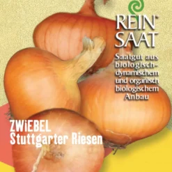 Zwiebel Stuttgarter Riesen | BIO Zwiebelsamen Von Reinsaat