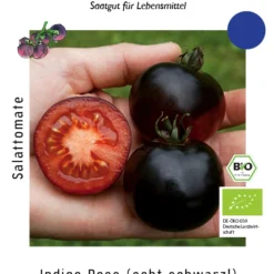 Salattomate Indigo Rose | BIO Salattomatensamen Von Culinaris
