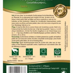 Kletter-Zucchini Quine F1-Hybride | Zucchinisamen Von Quedlinburger