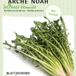Blattzichorie Catalogna Spezial | BIO Blattzichoriesamen Von Arche Noah