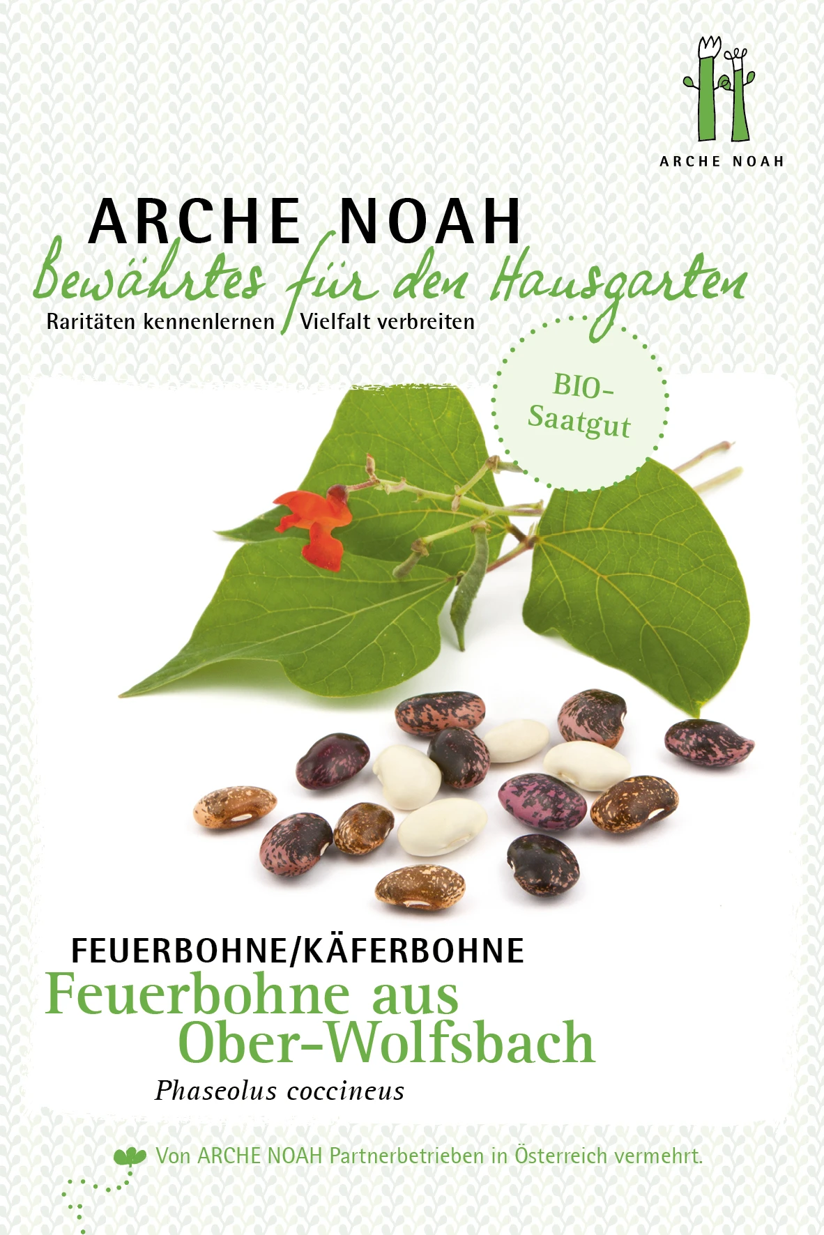 Feuerbohne Aus Ober-Wolfsbach | BIO Bohnensamen Von Arche Noah 1 Feuerbohne Aus Ober-Wolfsbach | BIO Bohnensamen Von Arche Noah