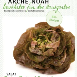 Kopfsalat Roter Butterhäuptl | BIO Kopfsalatsamen Von Arche Noah