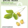 Monatserdbeere Fraise Des Bois | BIO Erdbeerensamen Von Arche Noah