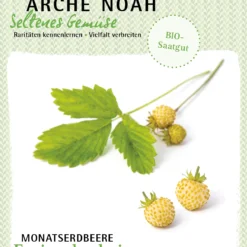 Monatserdbeere Fraise Des Bois | BIO Erdbeerensamen Von Arche Noah