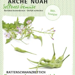 Rattenschwanzrettich | BIO Rettichsamen Von Arche Noah