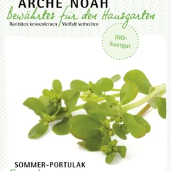 Sommerportulak Spanien | BIO Portulaksamen Von Arche Noah