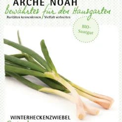Winterheckenzwiebel Satschen | BIO Winterheckenzwiebelsamen Von Arche Noah