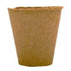 6 X 6 Cm Anzuchttopf Rund (3000 Stück) | Anzuchttöpfe Von Fertil -Baum Freude Verkäufe 537142 6 x 6 cm Anzuchttoepfe rund 3000 Stueck 504 C 1