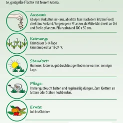 Kletterzucchini Shooting Star | Zucchinisamen Von Samen Pfann