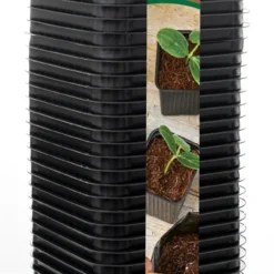 7 X 7 Cm Kunststofftöpfe Quadratisch (50 Stück) | Anzuchttöpfe Von Romberg