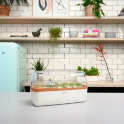 BoQube Gewächshaus &amp; Pflanzkasten L Creme-kupfer | Zimmergewächshäuser Von Romberg -Baum Freude Verkäufe 539701 BoQube Gewaechshaus Farbe creme kupferg 7