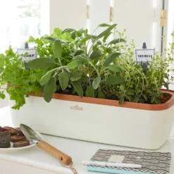 BoQube Gewächshaus & Pflanzkasten L Creme-kupfer | Zimmergewächshäuser Von Romberg