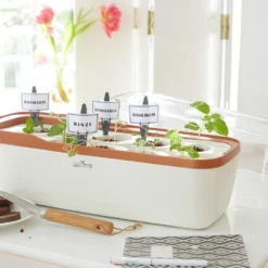 BoQube Gewächshaus &amp; Pflanzkasten L Creme-kupfer | Zimmergewächshäuser Von Romberg -Baum Freude Verkäufe 539701 BoQube Gewaechshaus und Pflanzkasten L creme kupfer 2