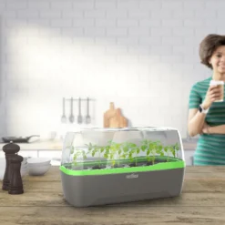 BoQube Gewächshaus &amp; Pflanzkasten L Anthrazit-grün | Zimmergewächshäuser Von Romberg -Baum Freude Verkäufe 539702 BoQube Gewaechshaus Farbe anthrazit gru 6