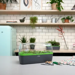 BoQube Gewächshaus &amp; Pflanzkasten L Anthrazit-grün | Zimmergewächshäuser Von Romberg -Baum Freude Verkäufe 539702 BoQube Gewaechshaus Farbe anthrazit gru 7