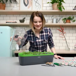 BoQube Gewächshaus &amp; Pflanzkasten L Anthrazit-grün | Zimmergewächshäuser Von Romberg -Baum Freude Verkäufe 539702 BoQube Gewaechshaus Farbe anthrazit gru 8