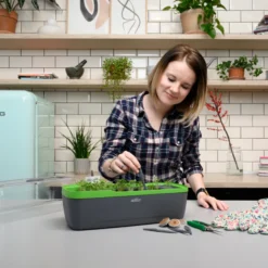 BoQube Gewächshaus &amp; Pflanzkasten L Anthrazit-grün | Zimmergewächshäuser Von Romberg -Baum Freude Verkäufe 539702 BoQube Gewaechshaus Farbe anthrazit gru 9