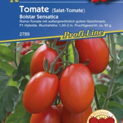 Salat - Tomate Bolstar Sensatica | Snacktomatensamen Von Kiepenkerl