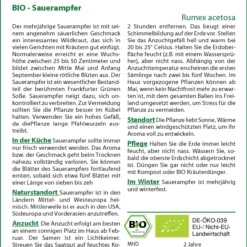Sauerampfer | BIO Sauerampfersamen Von Saflax