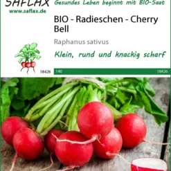 Radieschen Cherry Bell | BIO Radieschensamen Von Saflax