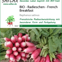 Radieschen French Breakfast | BIO Radieschensamen Von Saflax