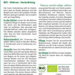 Möhre Herbstkönig | BIO Möhrensamen Von Saflax