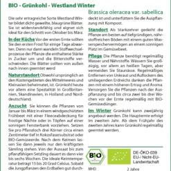 Grünkohl Westland Winter | BIO Grünkohlsamen Von Saflax