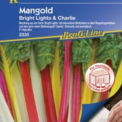 Mangold Bright Lights Und Charlie F1 (Saatteppich) | Mangoldsamen Von Kiepenkerl