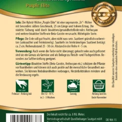 Möhre Purple Elite | Möhrensamen Von Quedlinburger