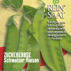 Zuckererbse Schweizer Riesen | BIO Zuckererbsensamen Von Reinsaat