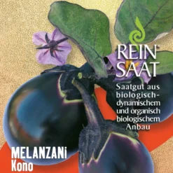 Aubergine Kono | BIO Auberginensamen Von Reinsaat