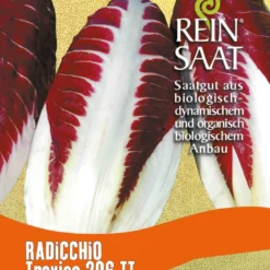 Radicchio Treviso 206 TT | BIO Salatsamen Von Reinsaat