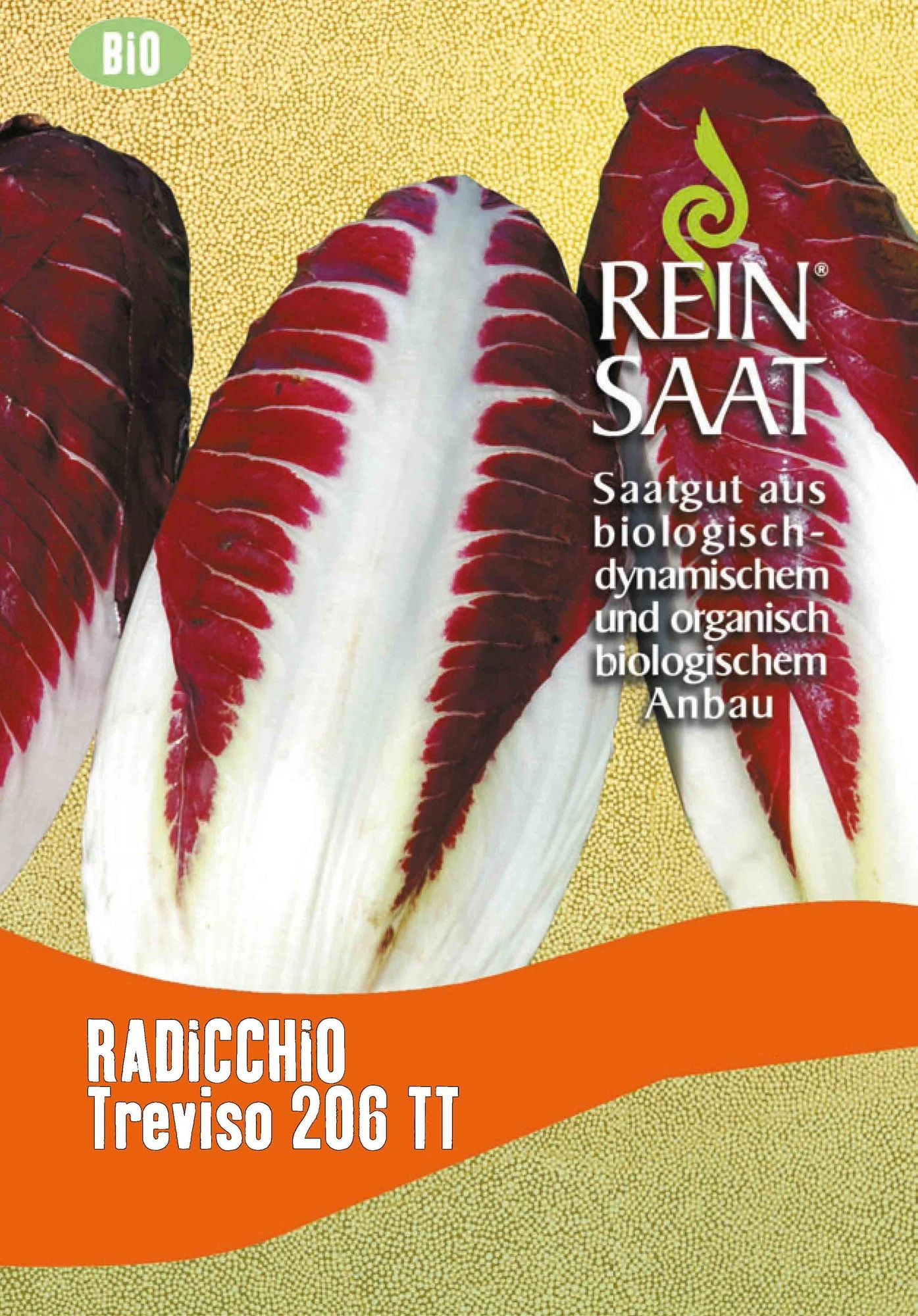 Radicchio Treviso 206 TT | BIO Salatsamen Von Reinsaat 1 Radicchio Treviso 206 TT | BIO Salatsamen Von Reinsaat