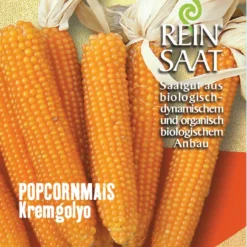Popcornmais Kremgolyo | BIO Maissamen Von Reinsaat