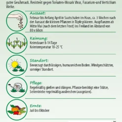 Tomate Grappelina F1-Hybride | Strauchtomatensamen Von Samen Pfann