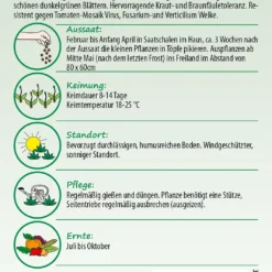 Tomate Maestria F1-Hybride | Tomatensamen Von Samen Pfann