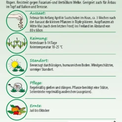 Tomate Trilly F1-Hybride | San Marzano Tomatensamen Von Samen Pfann