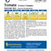 Cherrytomate Summer Sun F1 | Kirschtomatensamen Von Kiepenkerl