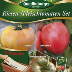 Riesen-/ Fleischtomaten Set (Saatplatte) | Tomatensamen Von Quedlinburger