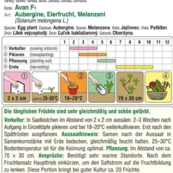 Baum Freude Verkäufe -Baum Freude Verkäufe 543061 Aubergine Teti F1 1