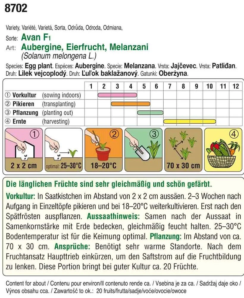 Aubergine Teti F1 | Auberginensamen Von Austrosaat 2 Aubergine Teti F1 | Auberginensamen Von Austrosaat – Bild 2