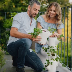 Sissi Strawberry Erdbeerturm Starter Weiß (4 Etagen) | Erdbeertürme Von Gusta Garden -Baum Freude Verkäufe 543337 Sissy Strawberry starter weiss 4 Etagen 5