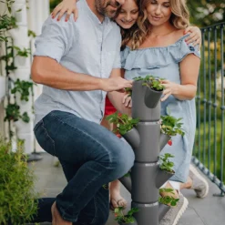 Sissi Strawberry Erdbeerturm Starter Anthrazit (4 Etagen) | Erdbeertürme Von Gusta Garden -Baum Freude Verkäufe 543338 Sissy Strawberry starter anthrazit 4 Etagen 2