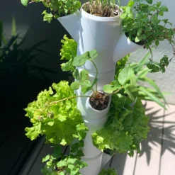 Sissi Strawberry Erdbeerturm Classic Anthrazit (6 Etagen) | Erdbeertürme Von Gusta Garden