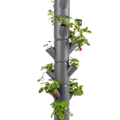 Sissi Strawberry Erdbeerturm Classic Anthrazit (6 Etagen) | Erdbeertürme Von Gusta Garden -Baum Freude Verkäufe 543340 Sissy Strawberry classic anthrazit 6 Etagen