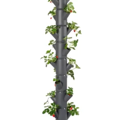 Sissi Strawberry Erdbeerturm Infinity Anthrazit (10 Etagen) | Erdbeertürme Von Gusta Garden