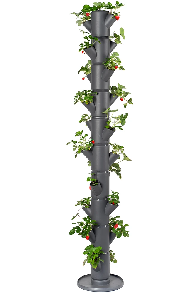 Sissi Strawberry Erdbeerturm Infinity Anthrazit (10 Etagen) | Erdbeertürme Von Gusta Garden 1 Sissi Strawberry Erdbeerturm Infinity Anthrazit (10 Etagen) | Erdbeertürme Von Gusta Garden